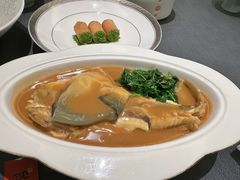 -沈灶河豚宴·河豚融合餐厅(汉中路店)