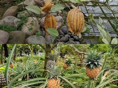 -南通洲际绿博园