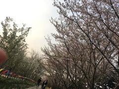 -新田360广场(上海华侨城店)