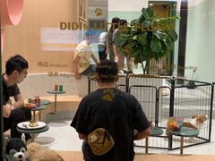 -電力宠物公司(武定路店)