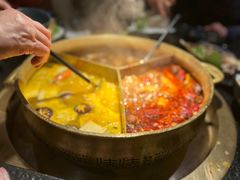 台式麻辣花胶鸡鸳鸯锅-湊湊火锅·茶憩(世博大道店)