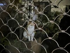 -东伊顺(高银街店)