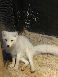 -酷嗒动物文化乐园(cutezoo西溪乐天城店)