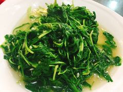 灵芝菜-徽州美食(三十年老店)