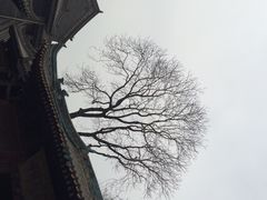 大清真寺-西安化觉巷清真大寺