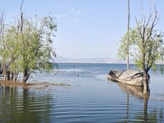 -洱海月湿地公园