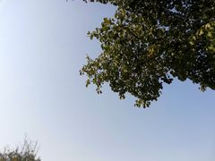 -桂溪生态公园
