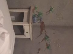 -卡罗酒店(东门晒布地铁站店)