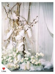 -琥珀婚礼策划AMBER WEDDING