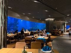 大堂-海棠湾洲际-涛·海底餐厅·美人鱼·自助餐·海底隧道