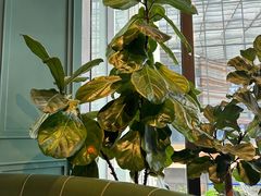 -L'Arome芳芳法国餐厅(仙林金鹰店)