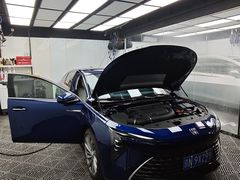 -XPEL旗舰店·汽车贴膜·隐形车衣·改色贴膜