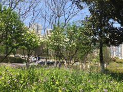 -白塘生态植物园