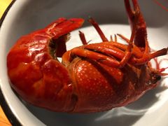 -蚝翅·海鲜粥·烧烤·宁夏滩羊季(玉米楼店)