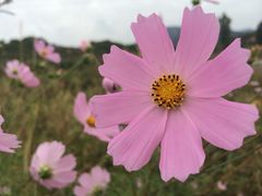 -喜利来蛋糕(景子街店)