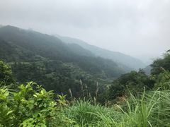 -杨家堂村