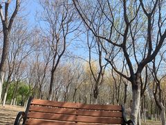 -大兴滨河森林公园