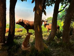 -国家自然博物馆