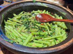 -科兴科学园