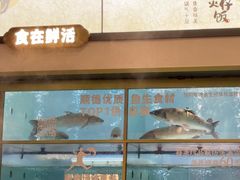 -得意咚瓜·顺德鱼生·冬瓜火锅(深圳首店)