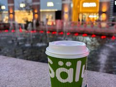 -Salud撒露欧洲冻酸奶(蓝色港湾店)