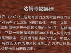 -比如骷髅墙景区