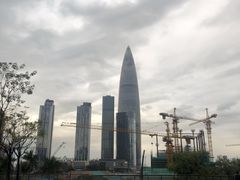 -陶陶居酒家(海岸城店)