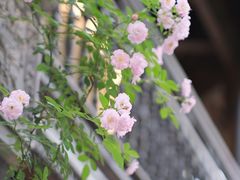 -老门东历史文化街区