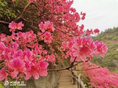 -木兰云雾山