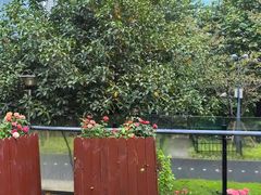 -浦江二号·独栋江景餐厅(滨江大道店)