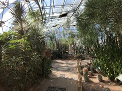 -北京植物园-展览温室