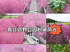 -嘉北郊野公园