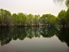 -长白岛森林公园