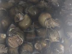 酱爆螺丝-畲乡一品鱼府土菜馆