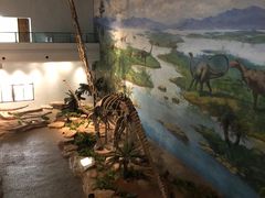 -自贡恐龙博物馆