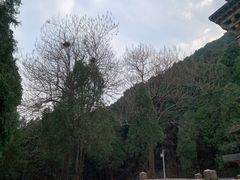 -四门塔风景区
