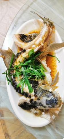 推荐:假蒌包肉煎蚂蚁蛋清蒸青竹鱼竹筒肉查看全部旅