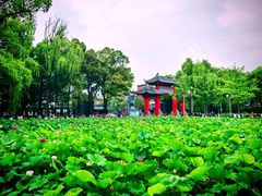 -四川大学(望江校区)