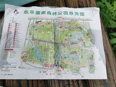 -东平国家森林公园