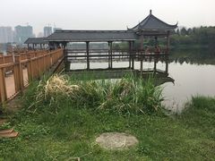 -飞来湖湿地公园