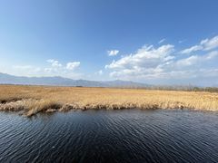 -野鸭湖国家湿地公园