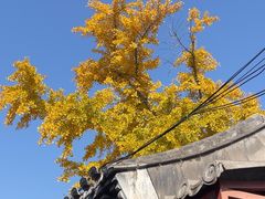 -北京湖广会馆