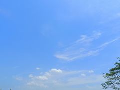 -盘龙城国家考古遗址公园