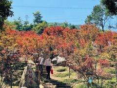 -广州市帽峰山景区