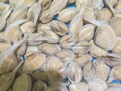 -渔满仓海鲜楼