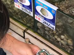 -南海渔家•海鲜•正宗海南菜(海棠湾店)