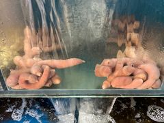 -小郭私房菜·海肠捞饭店(学士街店)