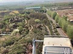 -石家庄市植物园