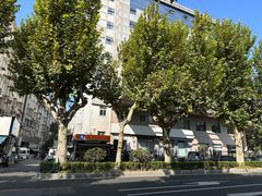 -水西门陈记鸭子店(总店)