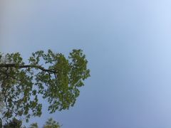 -瑞幸咖啡(艺树家工场店)